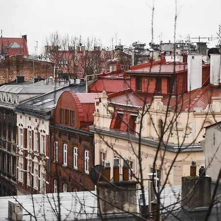 플라워 * 크라쿠프