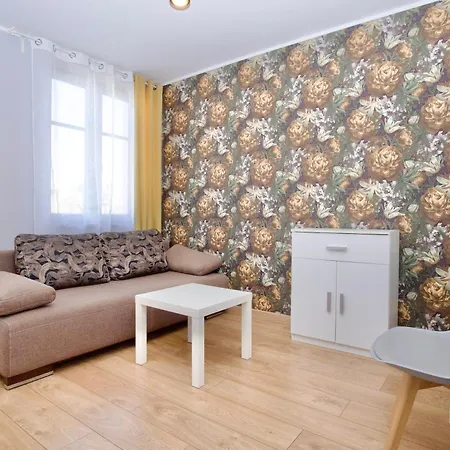 플라워 * 크라쿠프