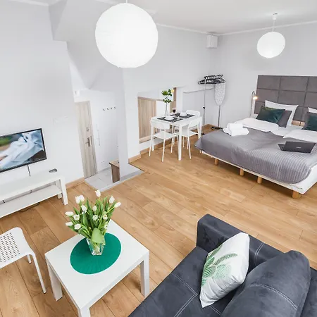 플라워 * 크라쿠프