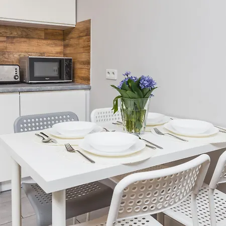 플라워 * 크라쿠프