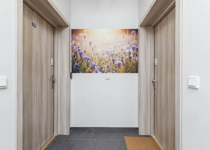 Flower Appartement Cracovie