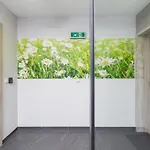 Flower Apartmán