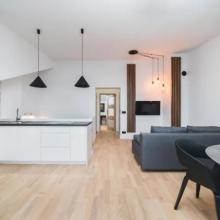 弗劳尔公寓 公寓 克拉科夫