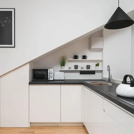 公寓 弗劳尔公寓 克拉科夫