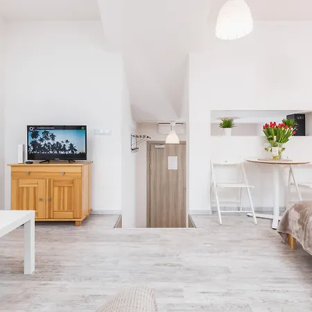 公寓 弗劳尔公寓 克拉科夫