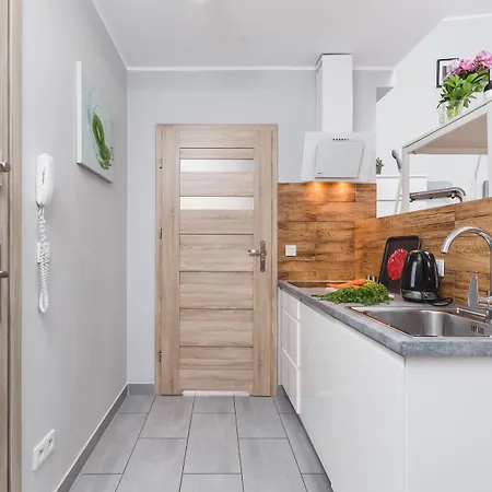 弗劳尔公寓 克拉科夫