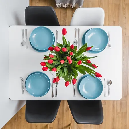 弗劳尔公寓 * 克拉科夫