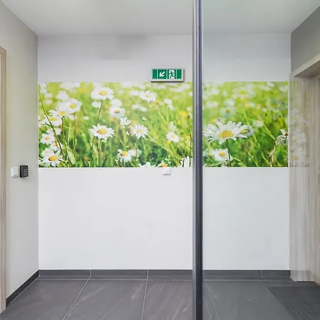 Flower Apartment